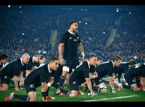 Rugby World Cup 2015 images
