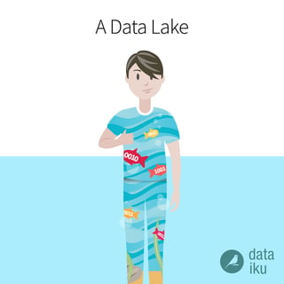 Data lake data costume