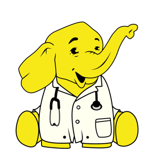 Hadoop elephant