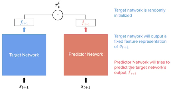 target and predictor networks