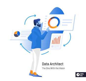 Data architect