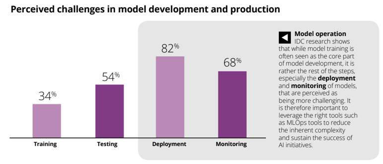 IDC InfoBrief Perceived Challenges in Model Development and Production