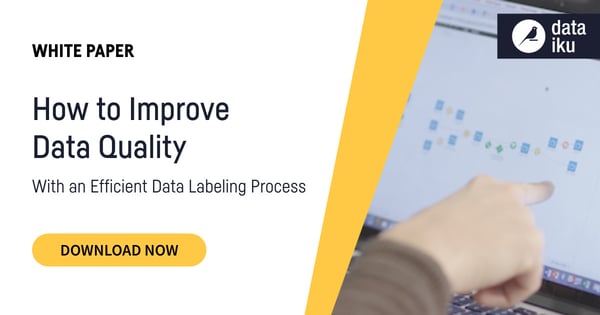 Data Quality White Paper cover with screenshot of Dataiku on screen