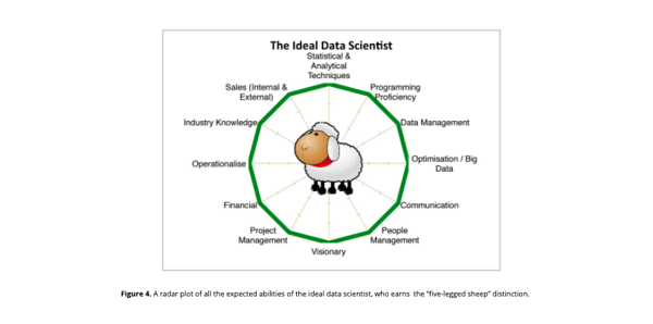 The ideal data scientist