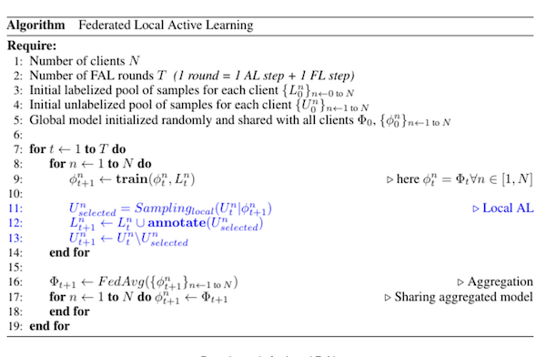 Federated local active learning