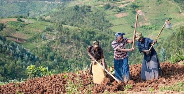 farmers in Rwanda