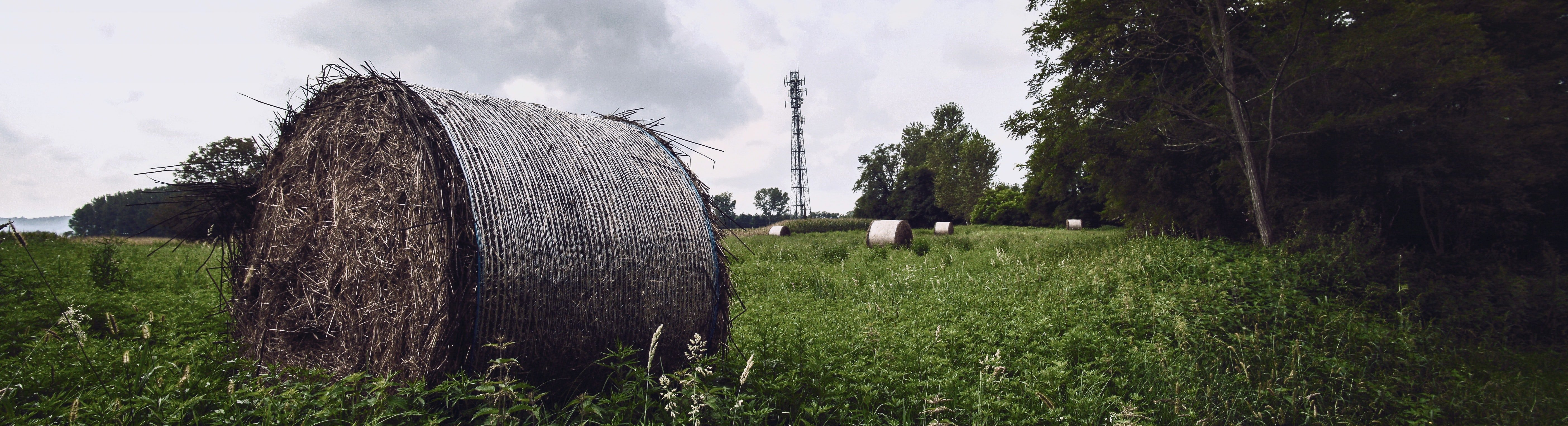 farm field with haystacks