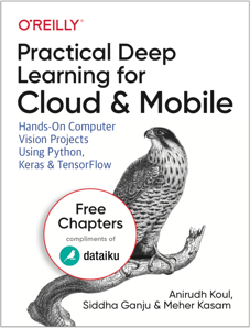 cover of practical deep learning ebook with bird