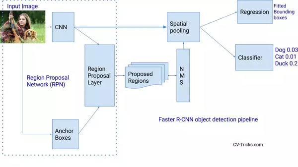 region proposal network