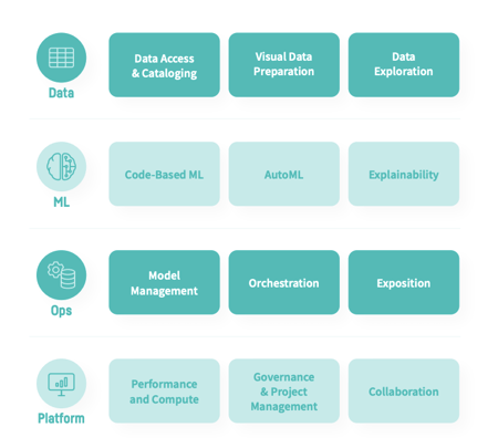 AI lifecycle