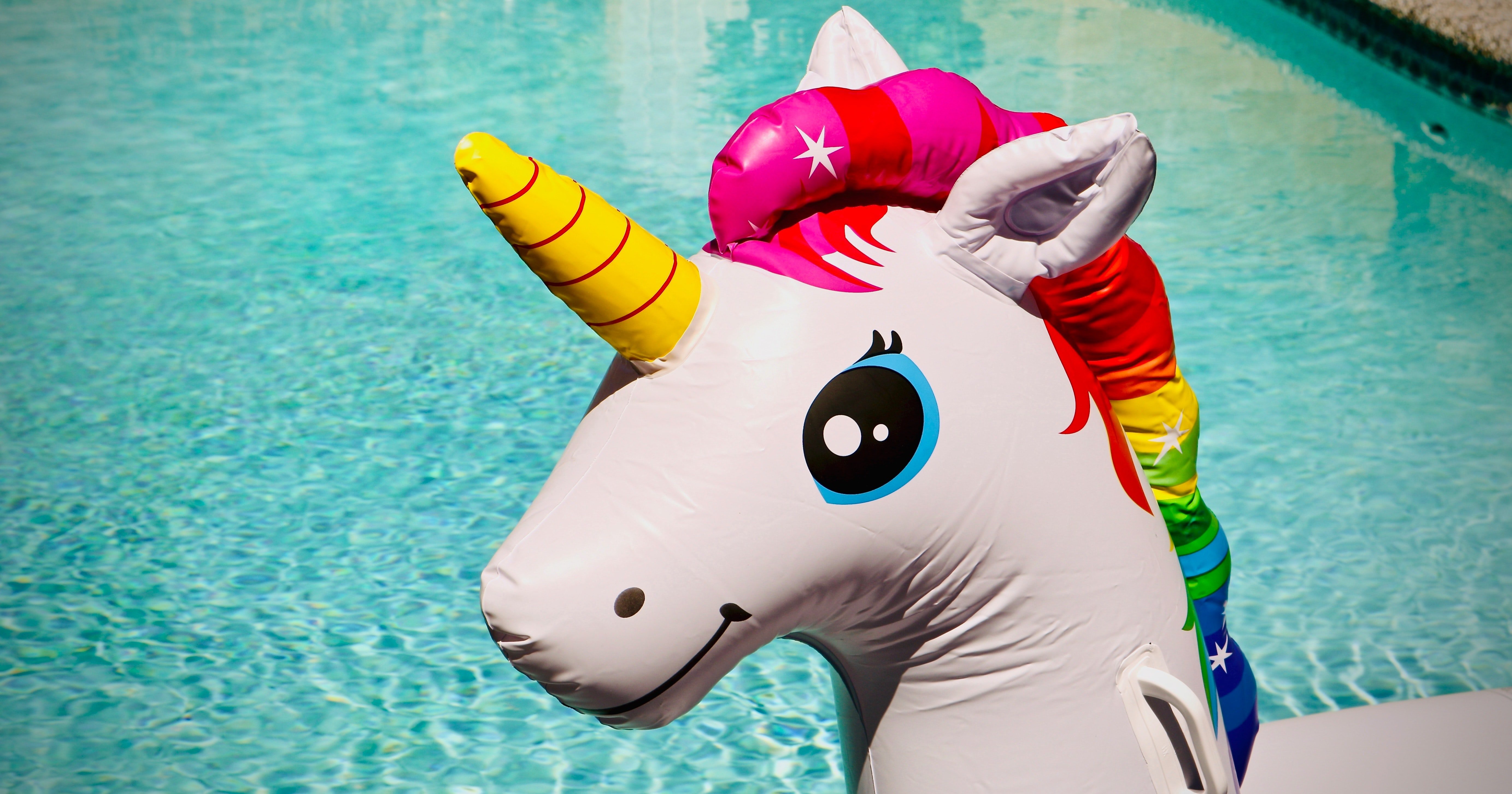 inflatable unicorn in a pool