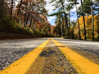 open road with trees