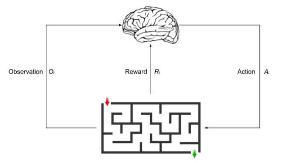 the process of reinforcement learning