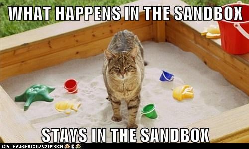 what happens in the sandbox stays in the sandbox cat meme