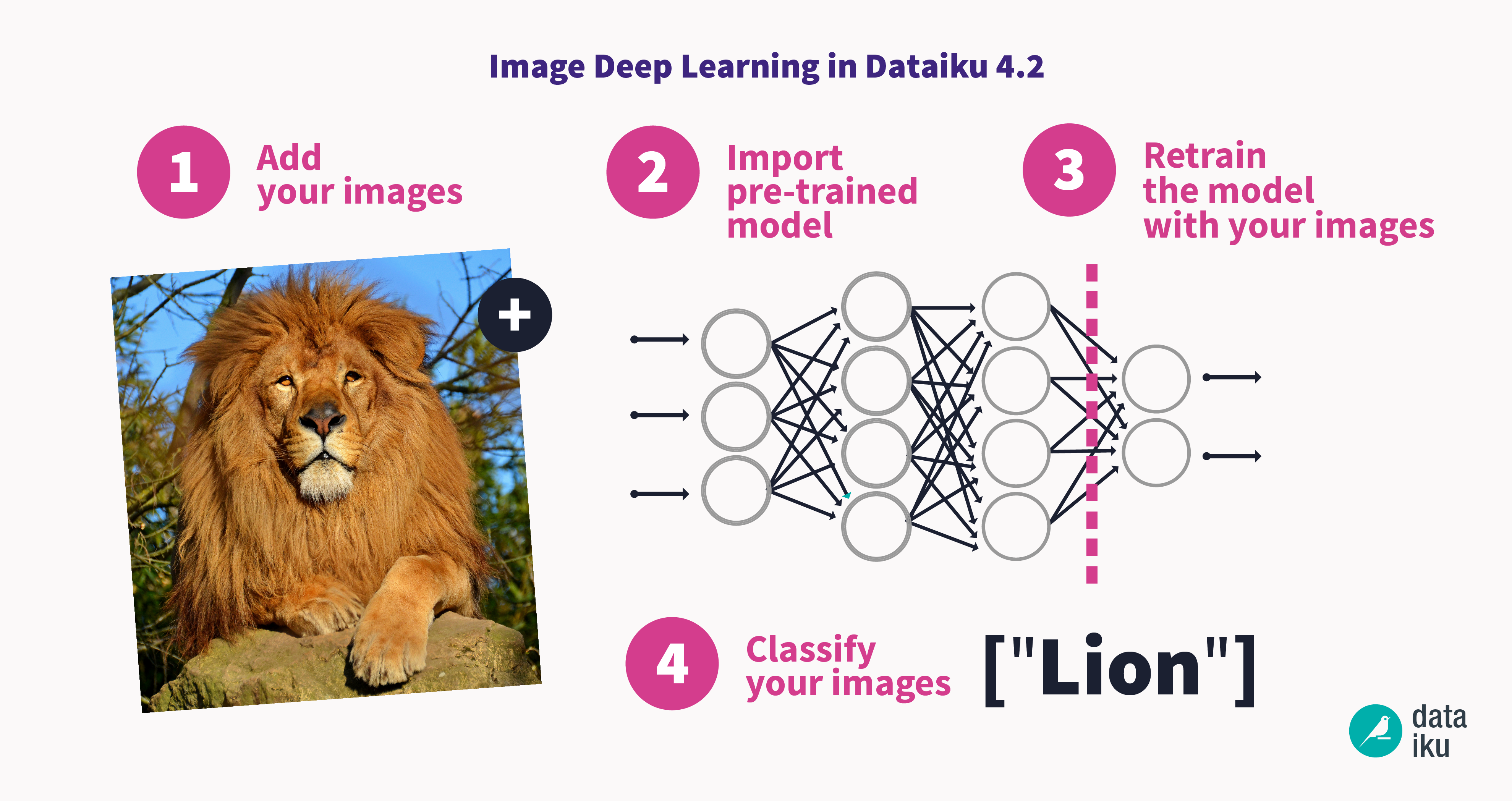 lion deep learning in dataiku 